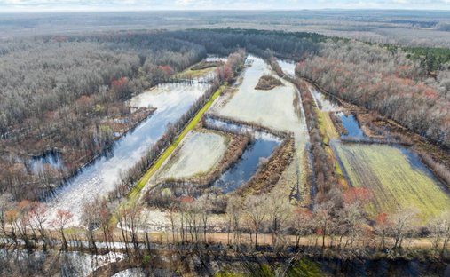 Terreno en Lugoff, Carolina del Sur, Estados Unidos 1
