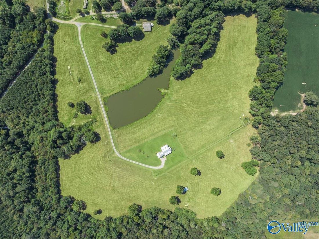 Farm Ranch in Joppa, Alabama, Vereinigte Staaten 4 - 18785953