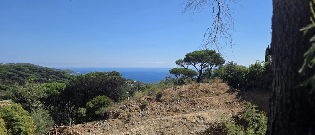 Terrain à Ramatuelle, Provence-Alpes-Côte d'Azur, France 4 - 18704467