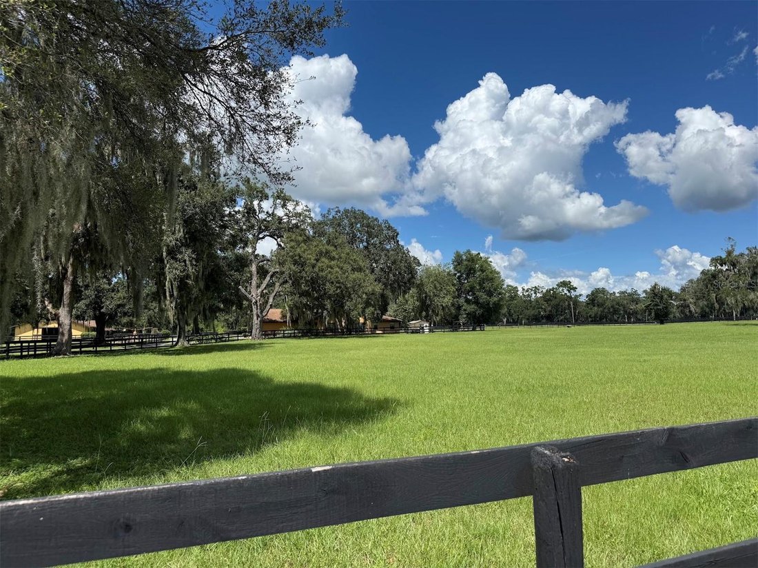 Corps de ferme à Ocala, Floride, États-Unis 5 - 18786597