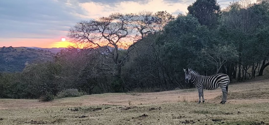 Farm Ranch in Mbombela, Mpumalanga, Südafrika 1 - 18785323