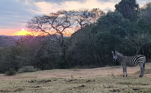 Rancho en Mbombela, Provincia de Mpumalanga, Sudáfrica 1