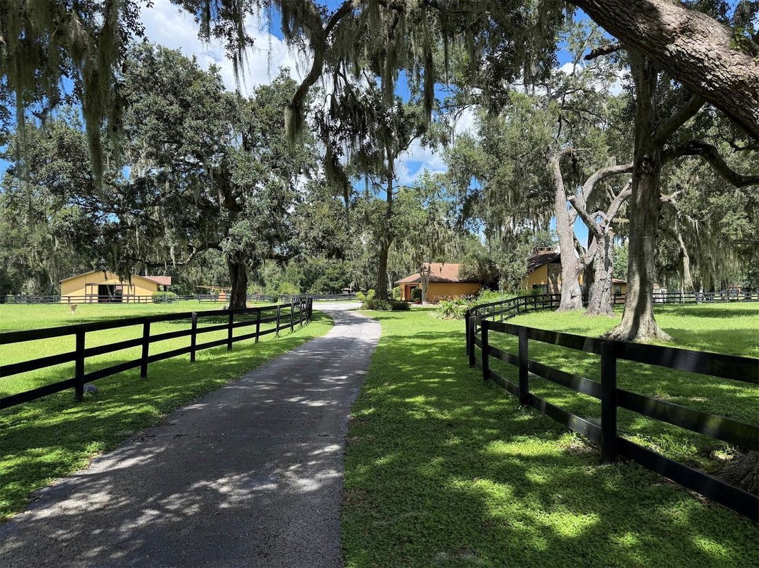 Corps de ferme à Ocala, Floride, États-Unis 1 - 18786597
