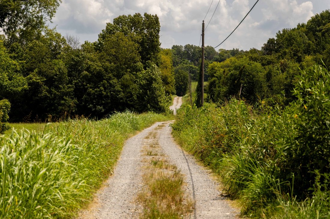 Land in College Grove, Tennessee, United States 5 - 17709640