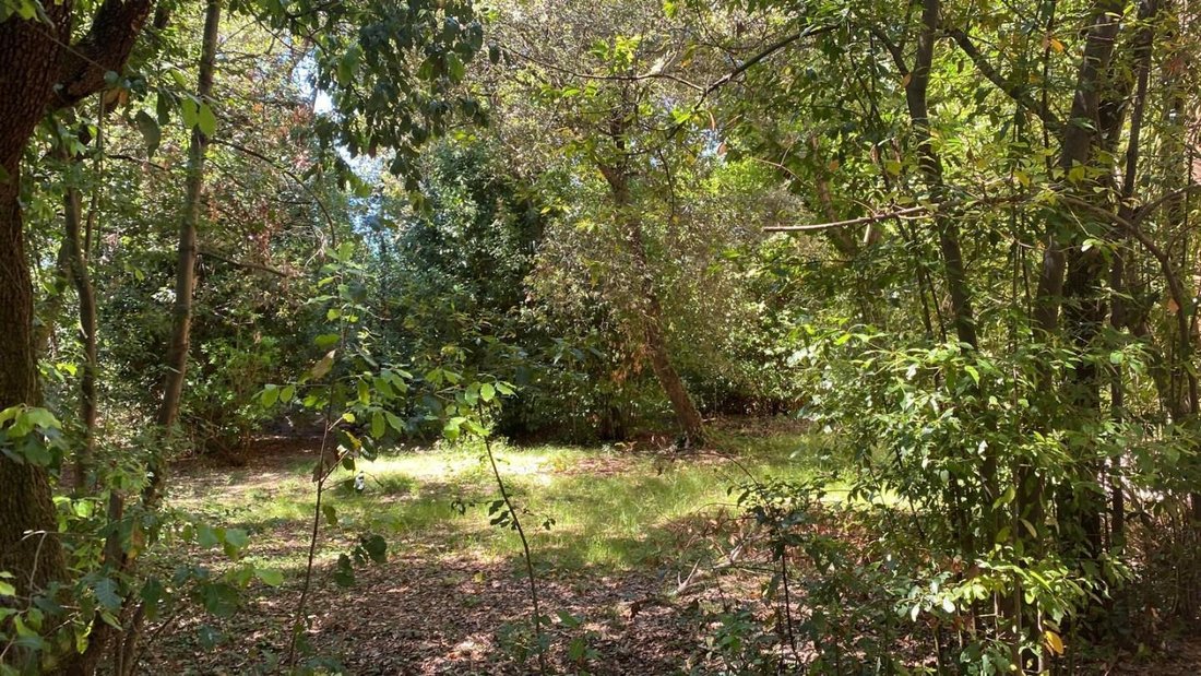 Apartment in Pratale, Pisa, Tuscany 2 - 18786842