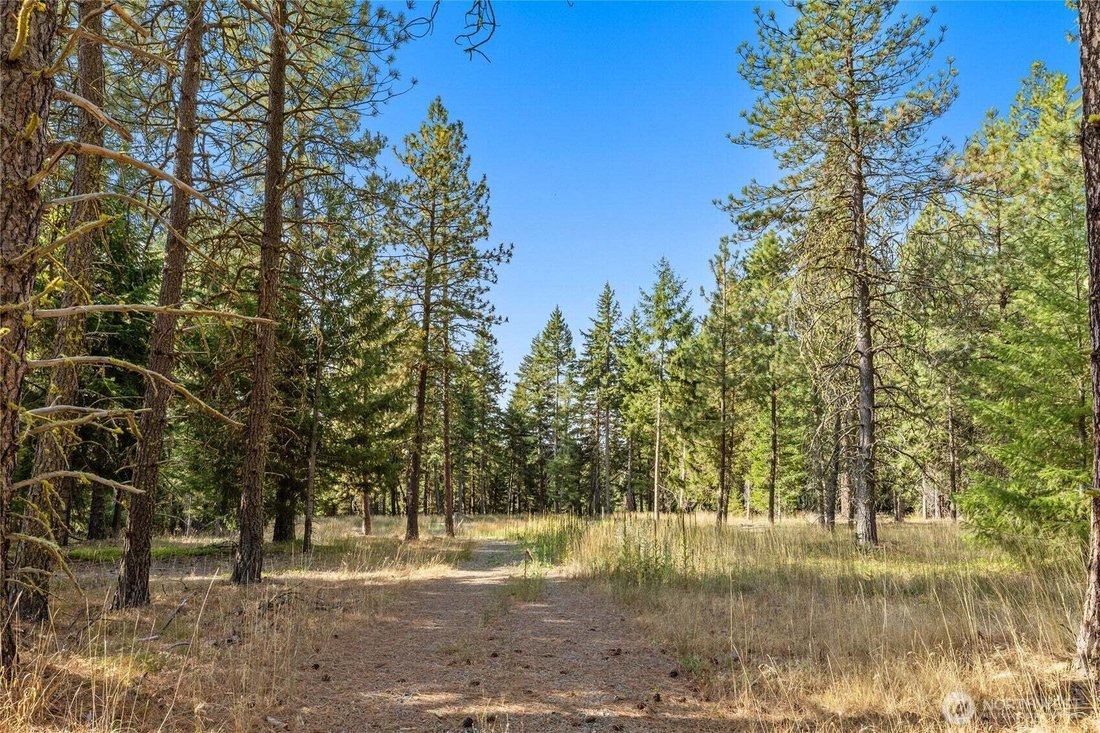 Land in Cle Elum, Washington, United States 3 - 18643069