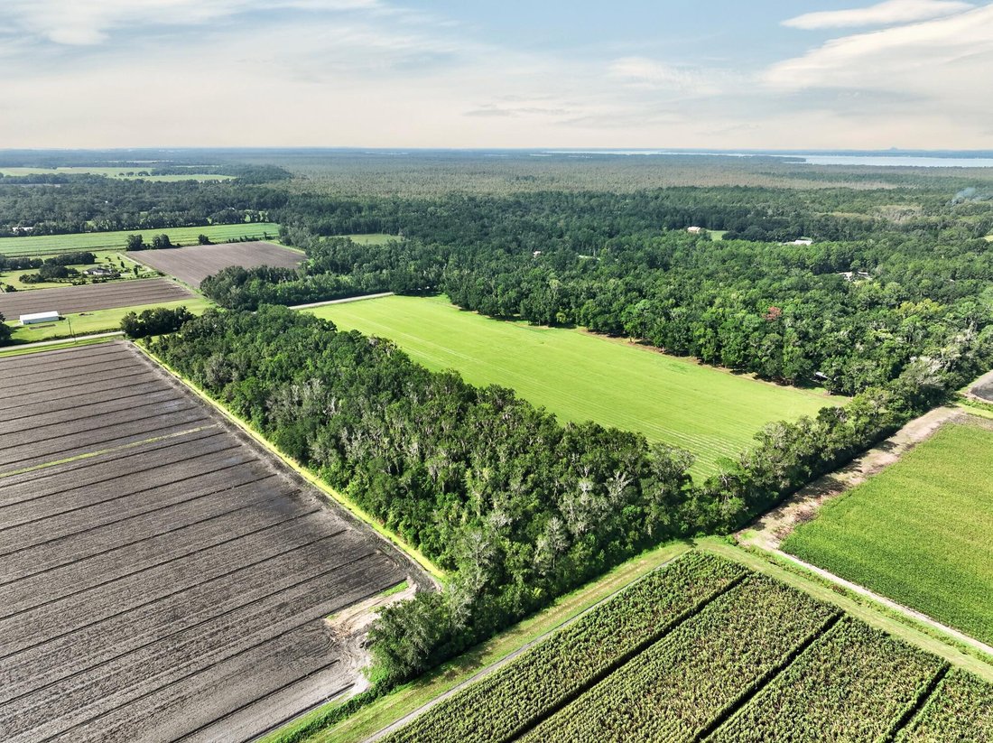 Land in Elkton, Florida, Vereinigte Staaten 4 - 18785413
