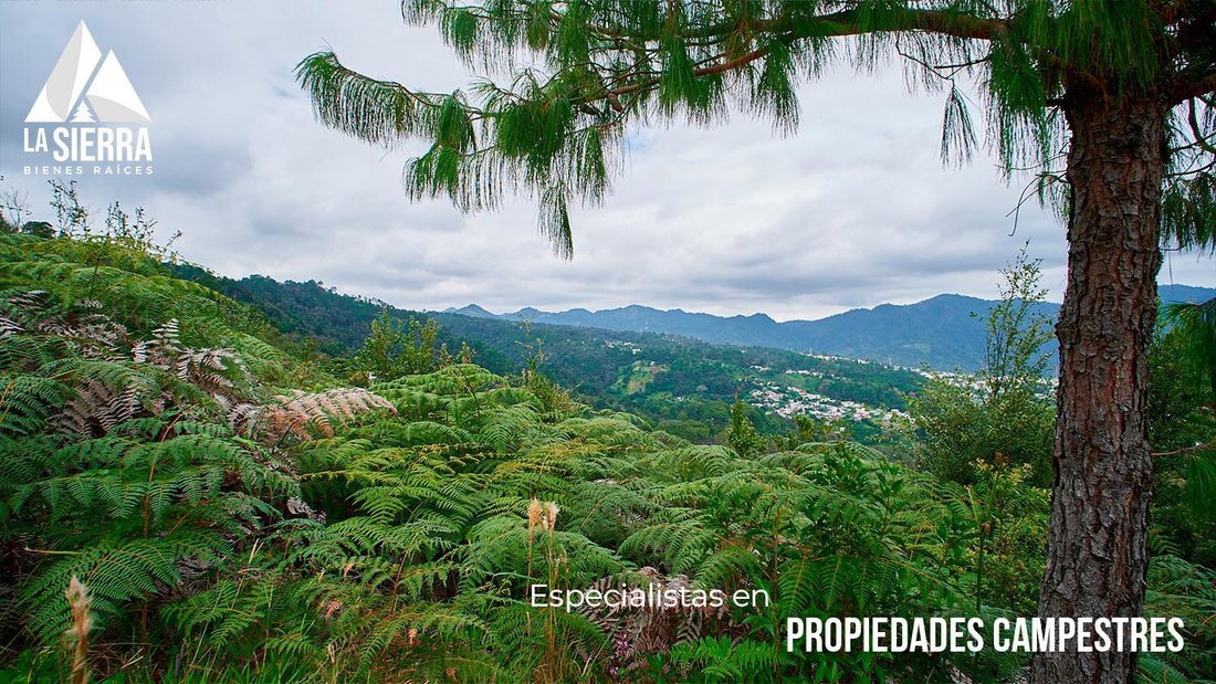 Terreno en Huauchinango, Puebla, México 4 - 18785073