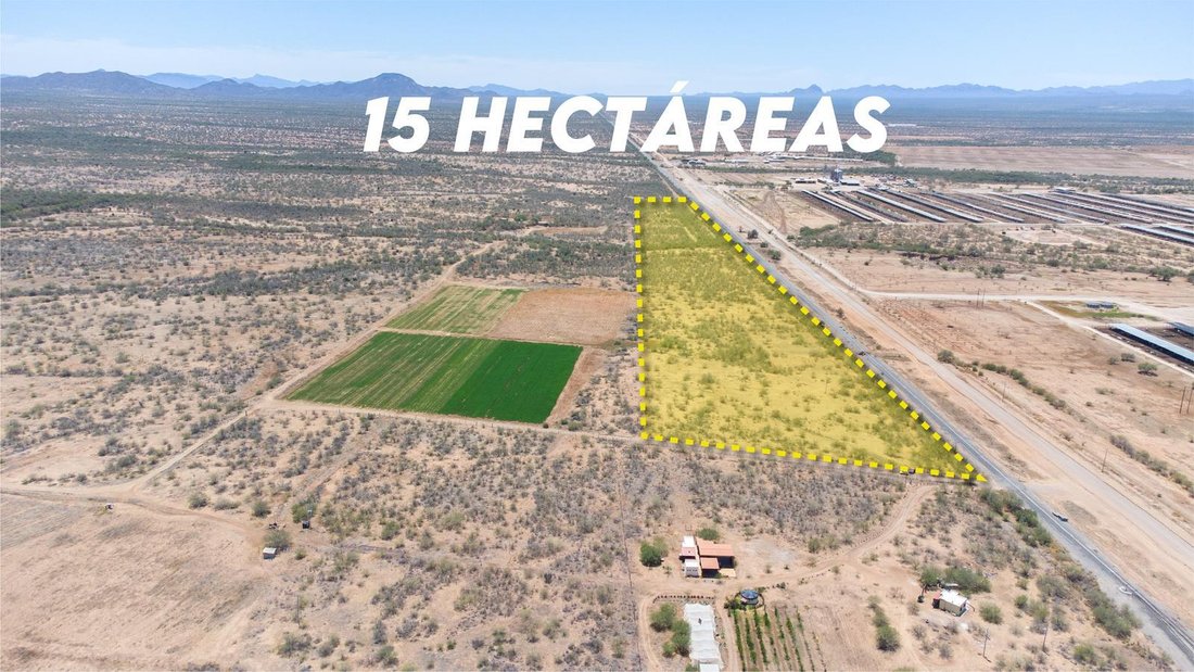 Terreno en Hermosillo, Distrito de Castelo Branco, Portugal 4 - 18785702