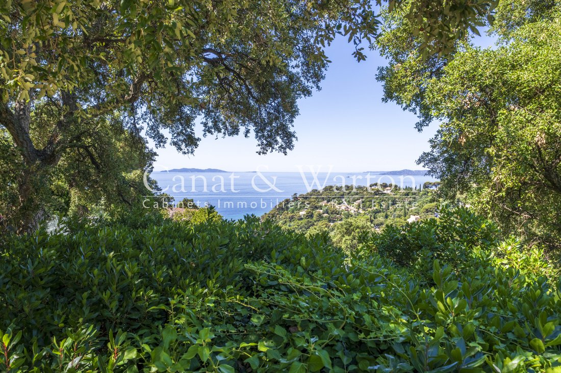 Villa in Rayol-Canadel-sur-Mer, Provence-Alpes-Côte d'Azur, Frankreich 2 - 18313710