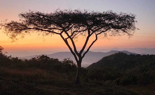 Farm Ranch in Mbombela, Mpumalanga, Südafrika 1