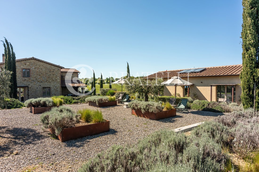 Landhaus in Magliano in Toscana, Toskana, Italien 5 - 18787194