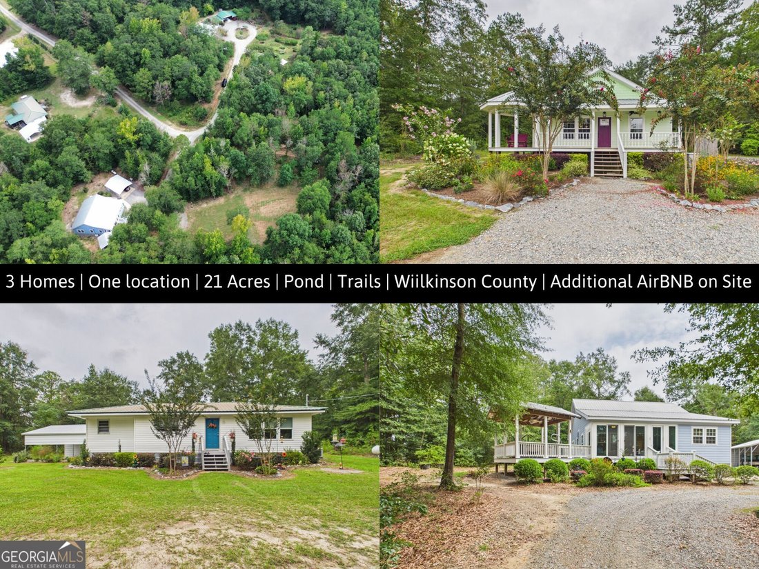 House in Irwinton, Georgia, United States 1 - 18787372