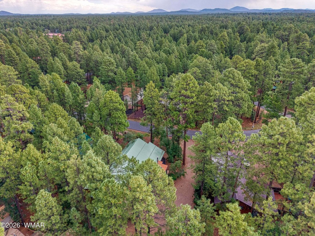Altro a Pinetop, Arizona, Stati Uniti 4 - 18329028