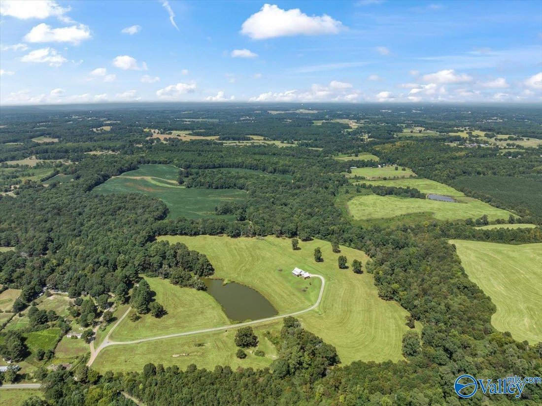 Farm Ranch in Joppa, Alabama, Vereinigte Staaten 5 - 18785953