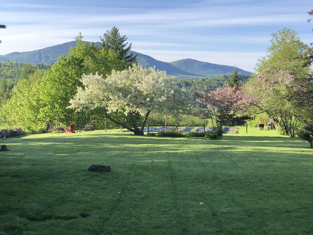 Newark, Vermont, United States 4 - 18785469