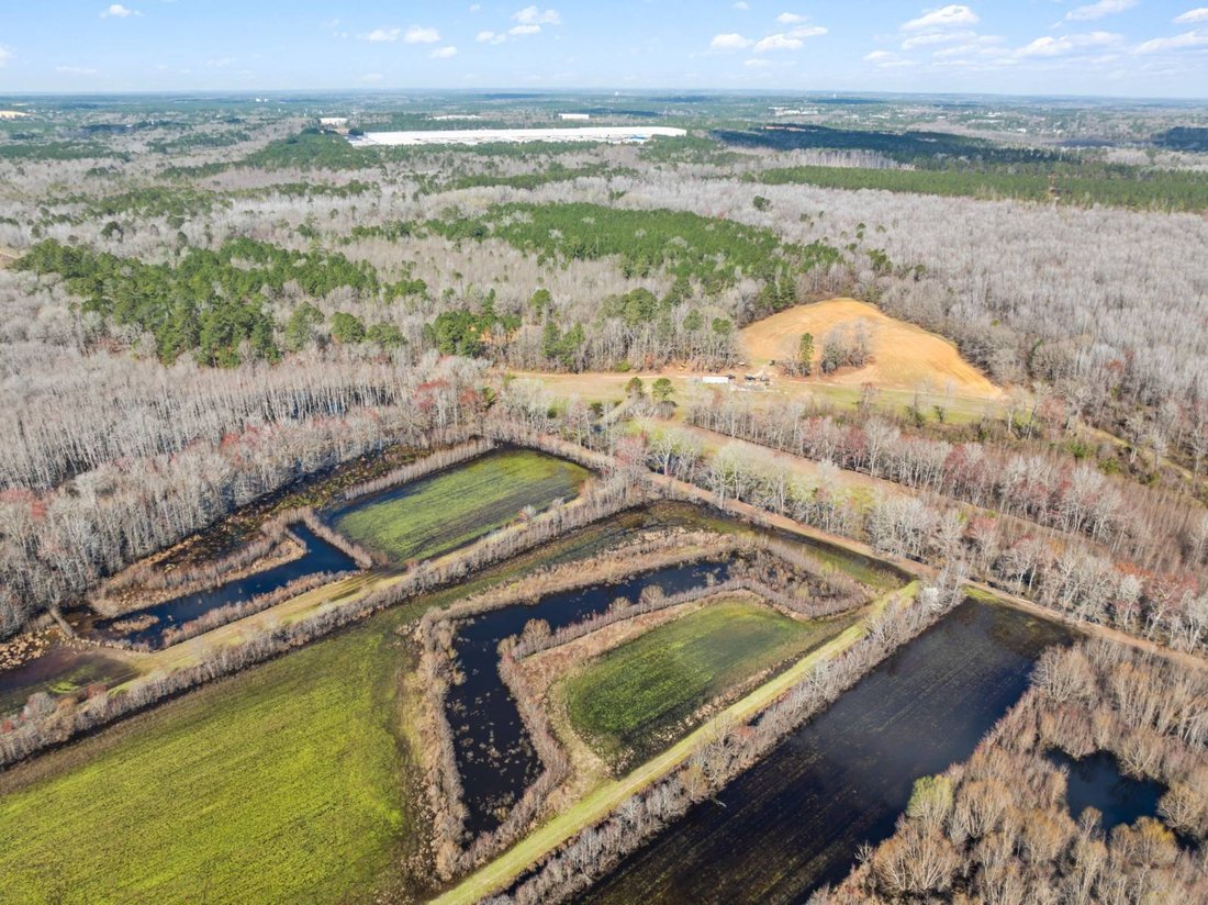 Land in Lugoff, South Carolina, Vereinigte Staaten 4 - 18783505