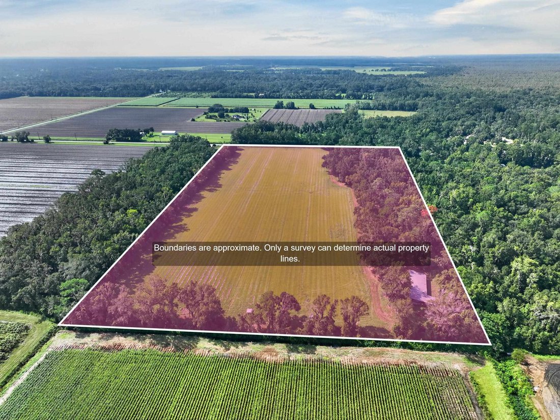 Land in Elkton, Florida, Vereinigte Staaten 3 - 18785413
