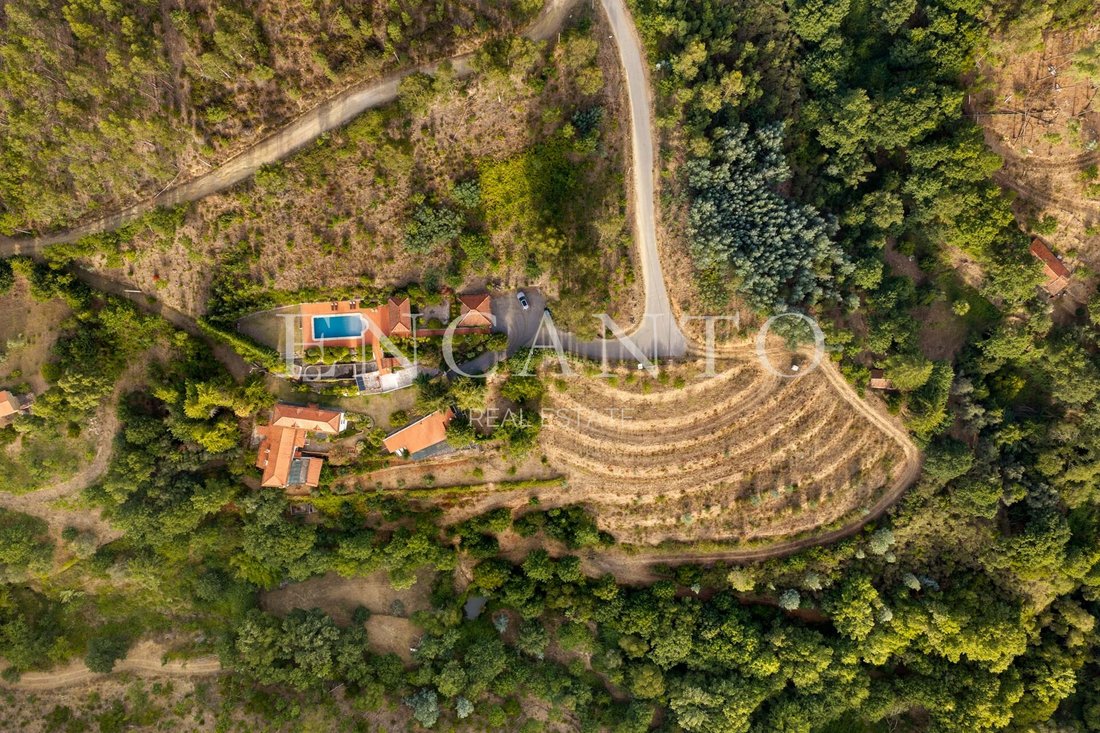 Finca in Pedrogao Grande, Leiria District, Portugal 3 - 18788070