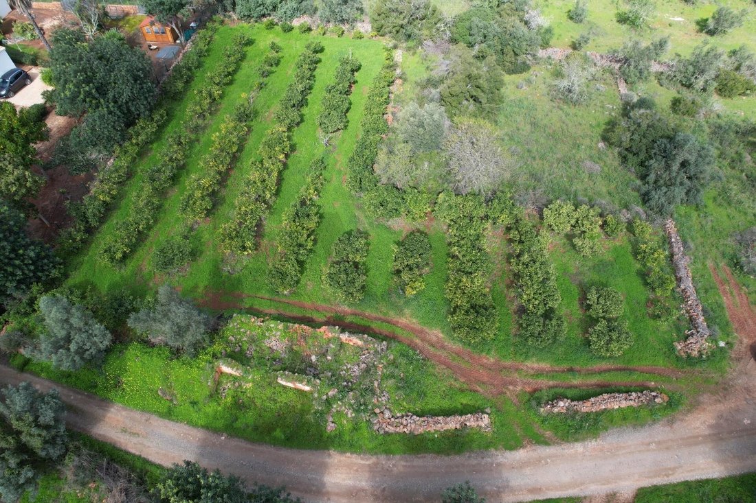 Terreno en São Bartolomeu de Messines, Algarve, Portugal 4 - 18789838