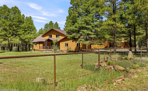House in White Mountain Lake, Arizona, United States 1