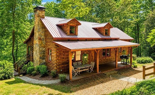 Maison à Ball Ground, Géorgie, États-Unis 1