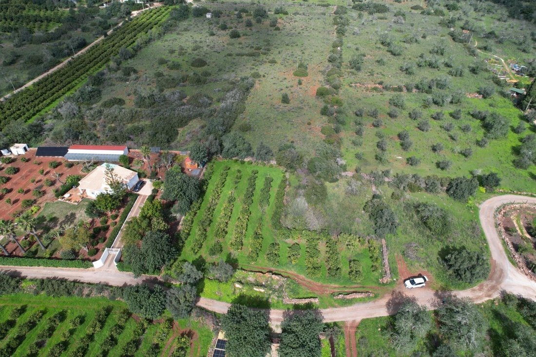 Terreno en São Bartolomeu de Messines, Algarve, Portugal 2 - 18789838