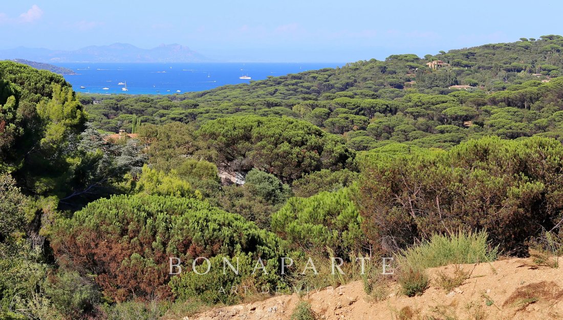 Terreno en Ramatuelle, Provenza-Alpes-Costa Azul, Francia 4 - 18790334