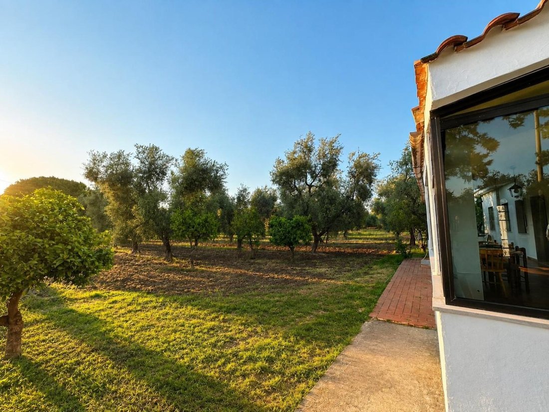 Villa en Vico del Gargano, Apulia, Italia 5 - 18801233