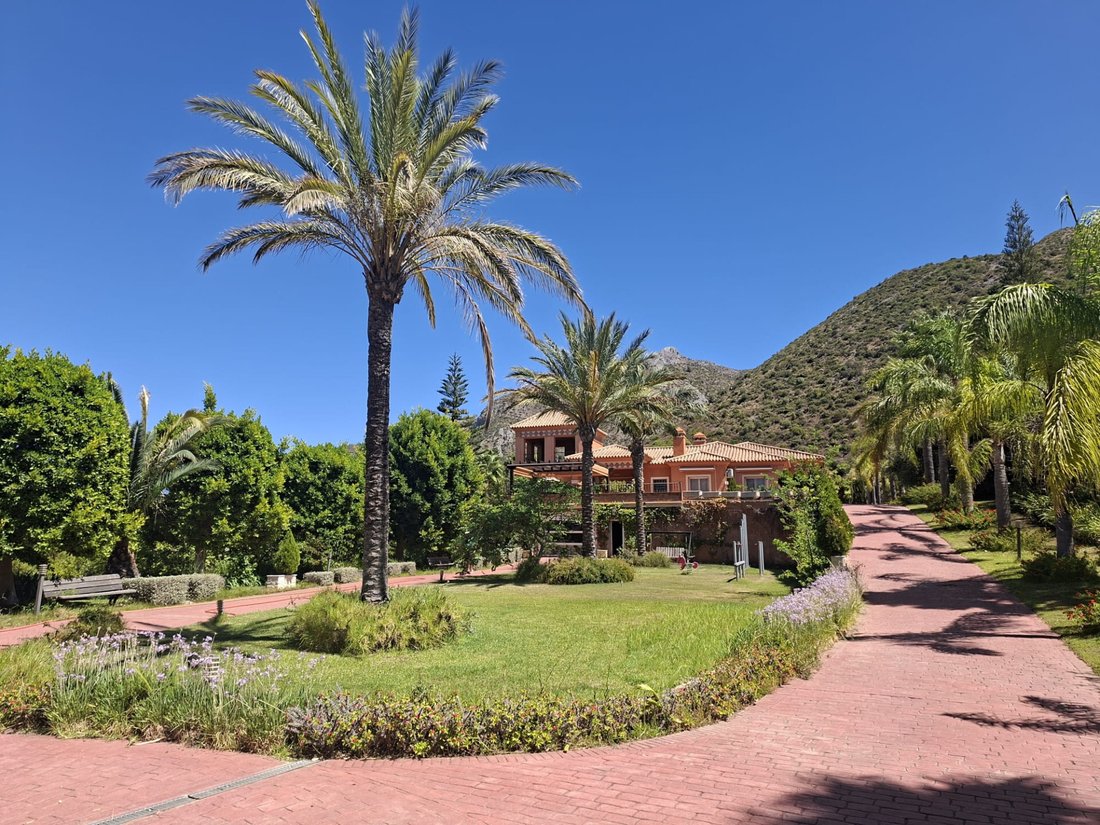 Finca in Istan, Andalusia, Spain 4 - 18791716