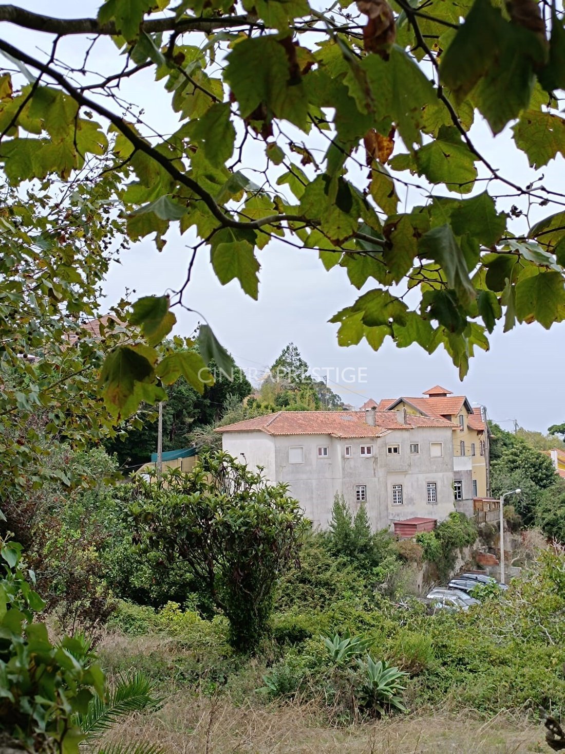 Apartment in Sintra, Lisbon, Portugal 1 - 18793821