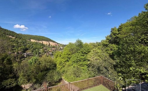 Villa in Couzon-au-Mont-d'Or, Auvergne-Rhone-Alpen, Frankreich 1