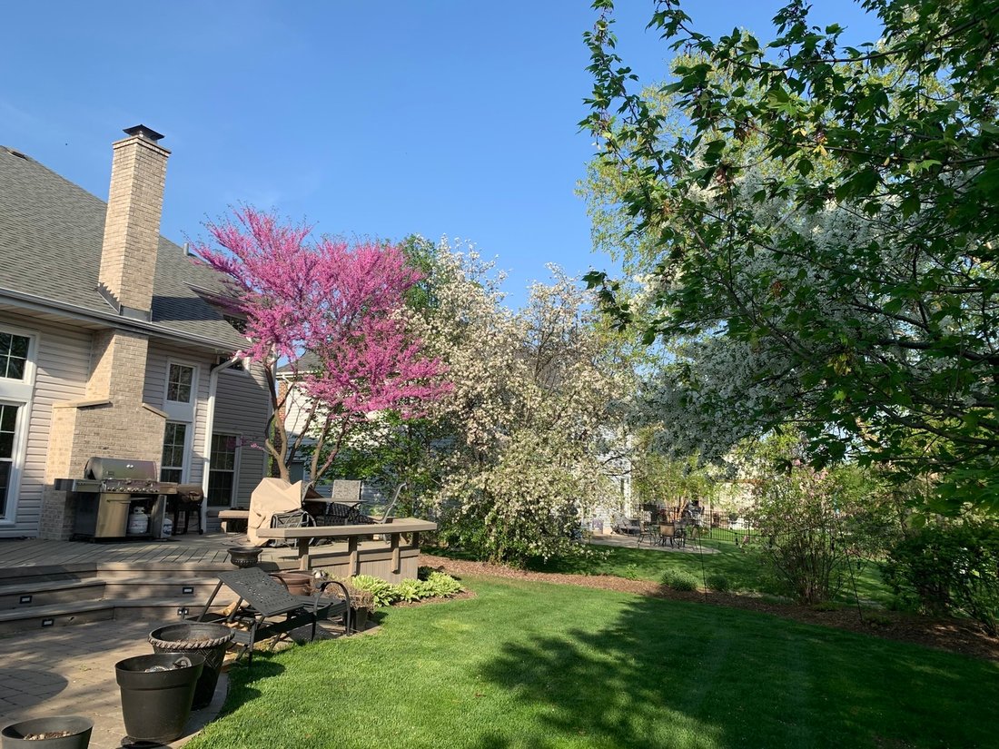 House in Schaumburg, Illinois, United States 3 - 18802844