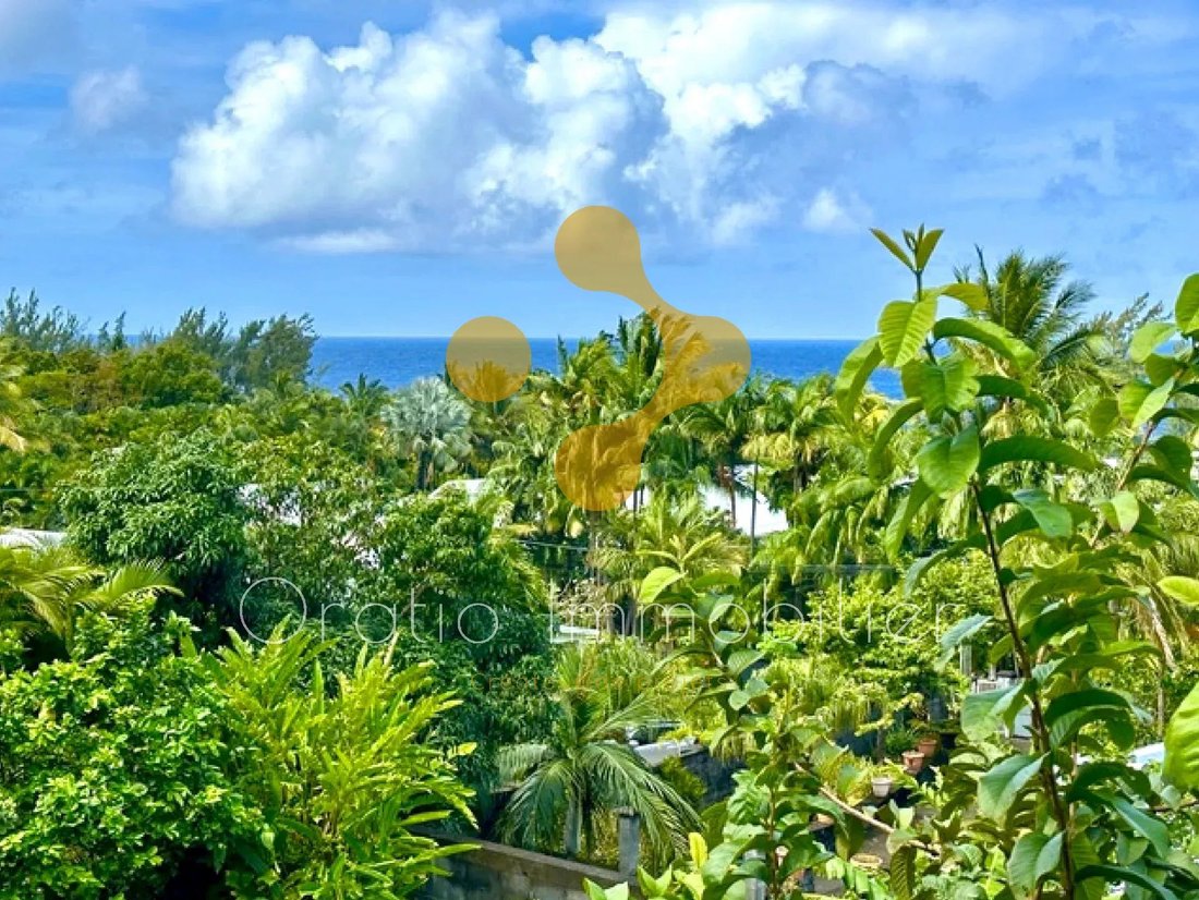 Estate in Saint-Philippe, Saint-Pierre, Réunion 5 - 18803538
