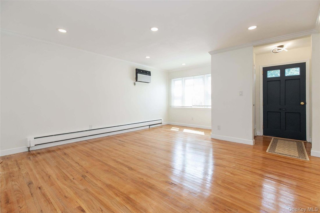 Altro a New Hyde Park, New York, Stati Uniti 4 - 18791865