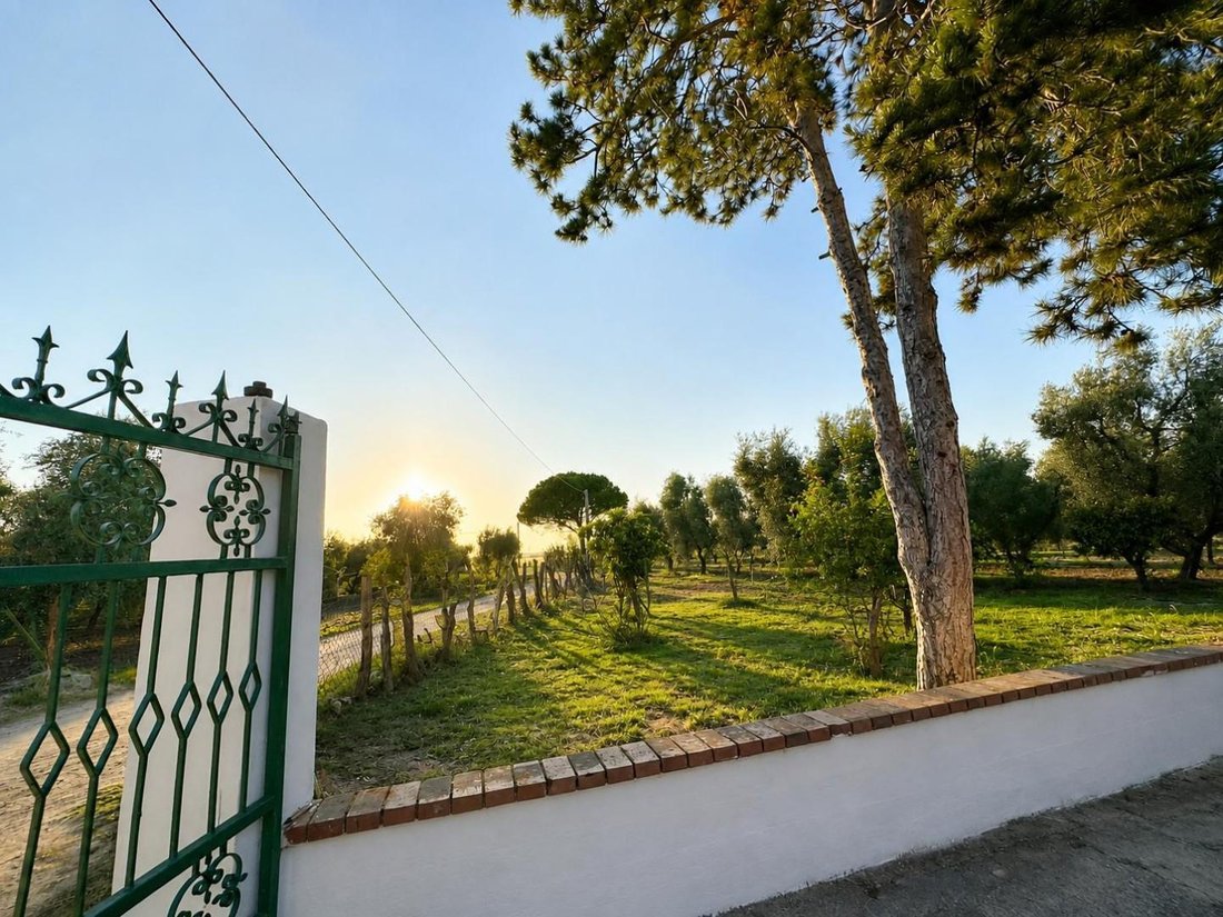 Villa en Vico del Gargano, Apulia, Italia 2 - 18801233