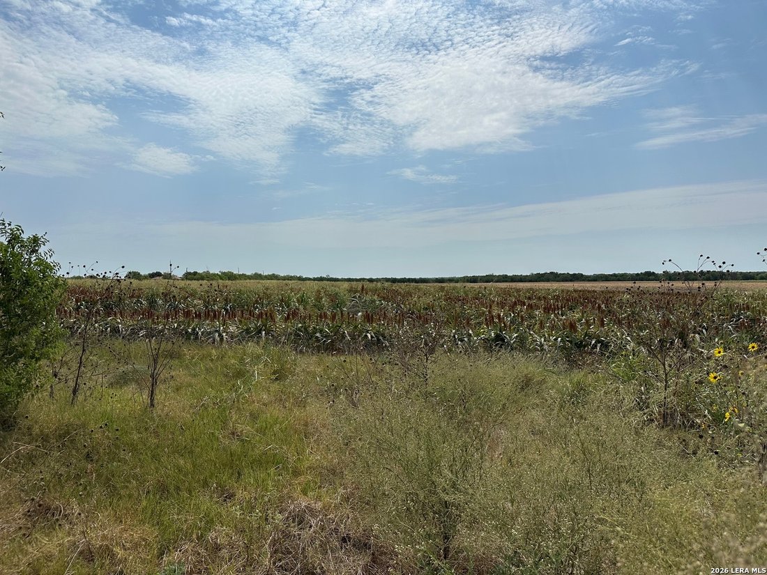 Converse, Texas, United States 3 - 18793163