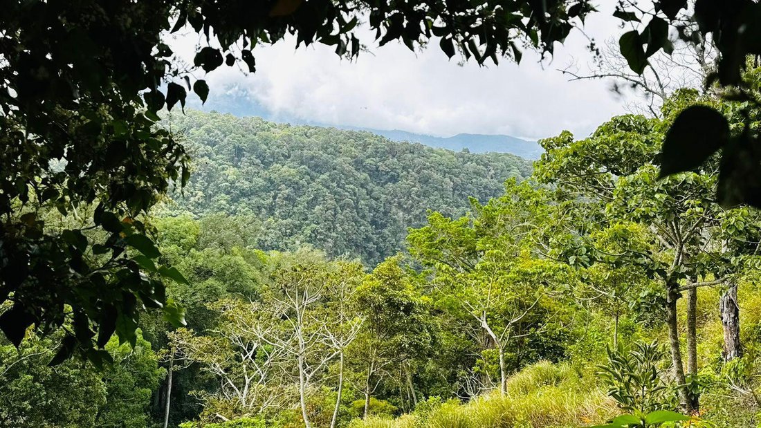 Land in Los Naranjos, Chiriquí Province, Panama 2 - 18798840
