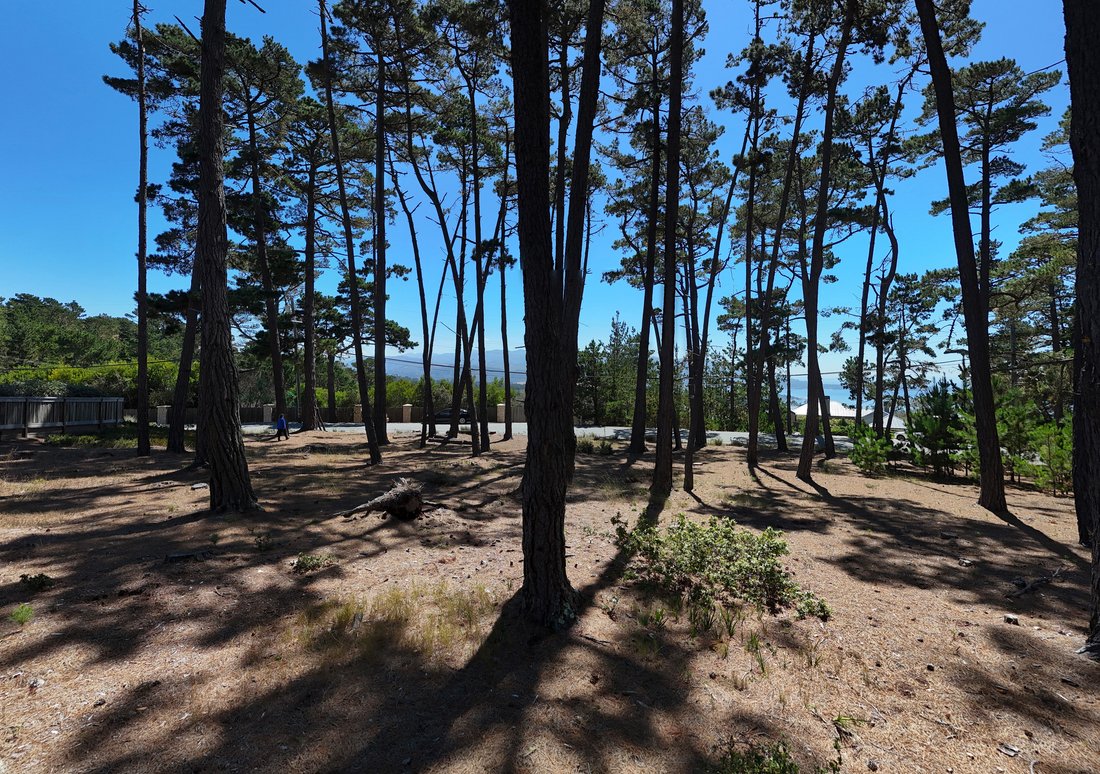 Terreno a Del Monte Forest, California, Stati Uniti 2 - 18797780