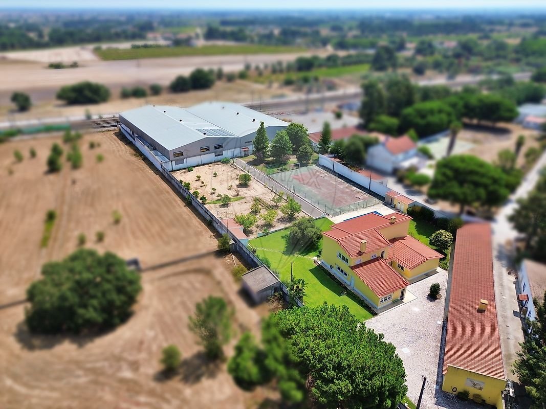 Finca à Palmela, Setúbal Municipality, Portugal 2 - 18800043