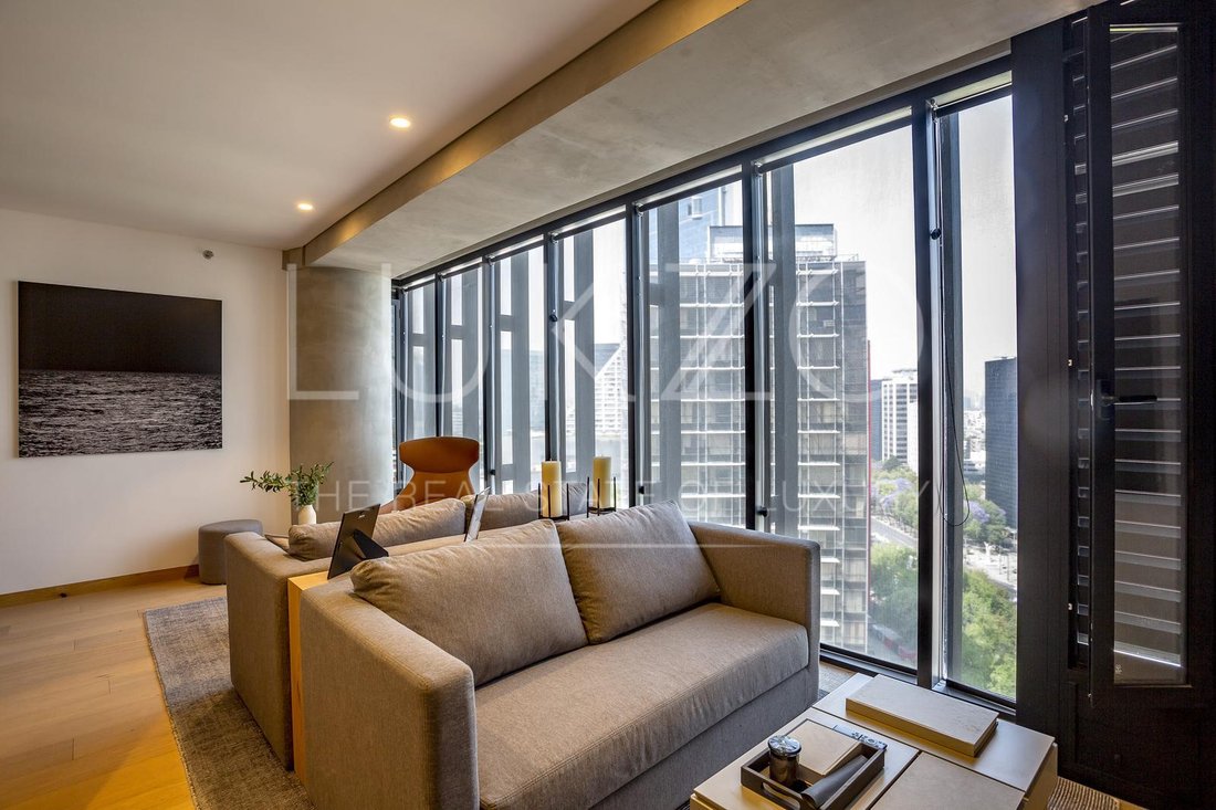 Apartment in Mexico City, Mexico 4 - 18804710