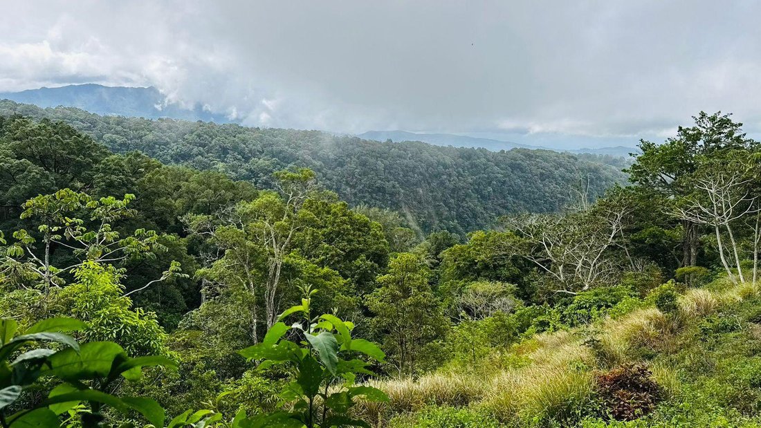 Land in Los Naranjos, Chiriquí Province, Panama 1 - 18798840