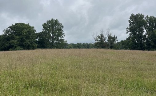 Land in Monroe, Tennessee, Vereinigte Staaten 1