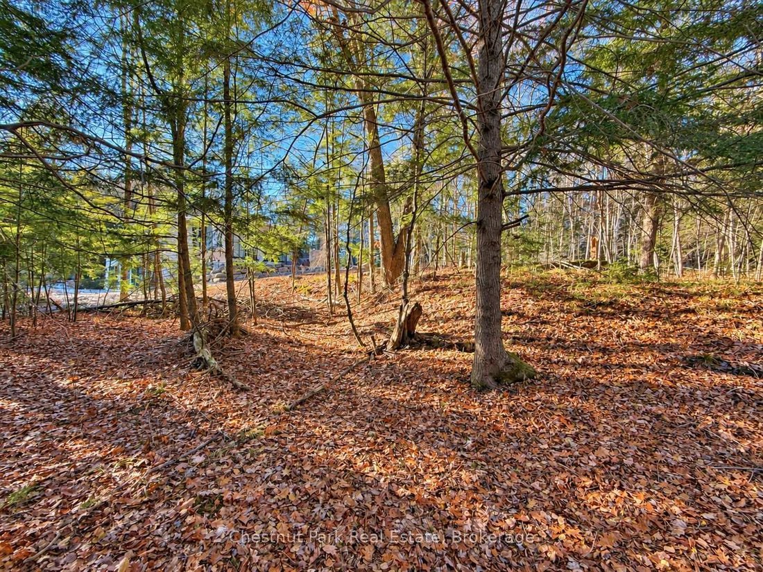 Terreno en Seguin, Ontario, Canadá 4 - 18802967