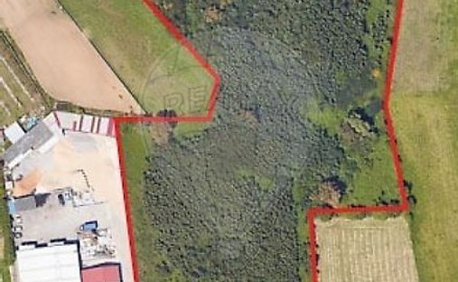 Terreno a Grijo e Sermonde, Oporto, Portogallo 1