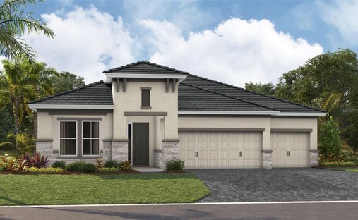 House in Parrish, Florida, United States 1