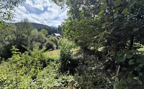 Land in Bern, Canton of Bern, Switzerland 1