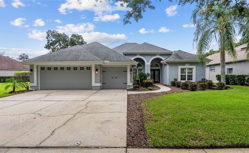 Haus in Valrico, Florida, Vereinigte Staaten 1