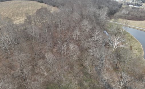 Land in Pulaski, Tennessee, United States 1