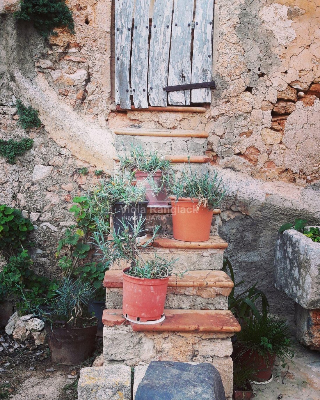 Maison à Felanitx, Îles Baléares, Espagne 3 - 18804107